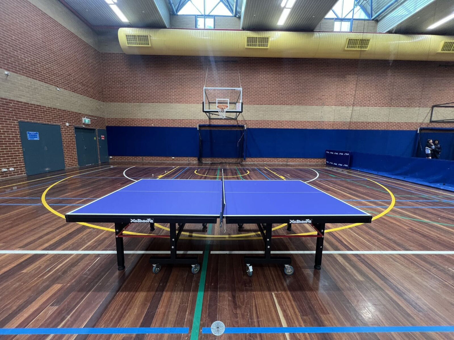 PICK UP - Xu Shao Fa 25mm Table Tennis Table Ping Pong Table - PROFESSIONAL SIZE